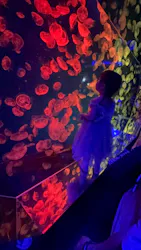 名古屋港水族館に投稿された画像（2026/8/11）