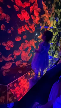 名古屋港水族館に投稿された画像（2026/8/11）