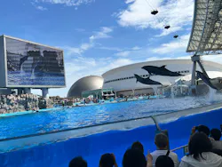 名古屋港水族館に投稿された画像（2026/8/11）