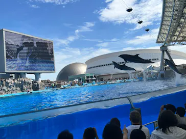名古屋港水族館に投稿された画像（2026/8/11）
