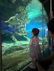名古屋港水族館に投稿された画像（2026/8/11）
