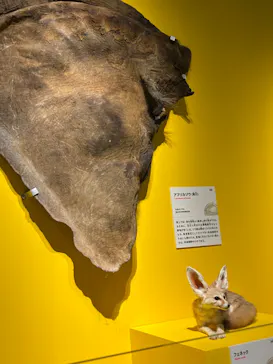 特別展「いきもの超ワールド展　国立科学博物館×ダーウィンが来た！」（国立科学博物館）に投稿された画像（2026/8/11）