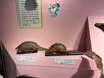 特別展「いきもの超ワールド展　国立科学博物館×ダーウィンが来た！」（国立科学博物館）に投稿された画像（2026/8/11）