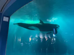 名古屋港水族館に投稿された画像（2026/8/11）