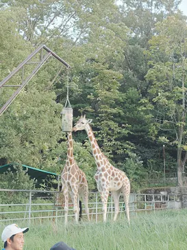 名古屋市東山動植物園に投稿された画像（2026/8/11）