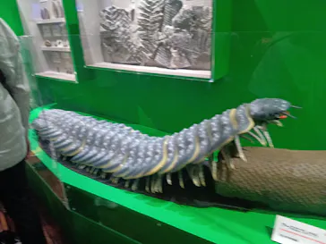 特別展　大絶滅展に投稿された画像（2026/8/11）