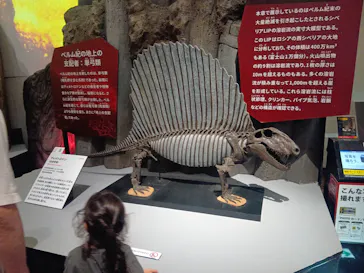 特別展　大絶滅展に投稿された画像（2026/8/11）