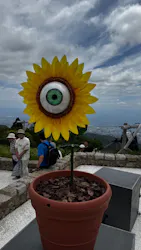 自然体感展望台 六甲枝垂れに投稿された画像（2026/8/11）
