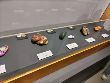 プレバト才能アリ展（大阪会場）に投稿された画像（2026/8/11）