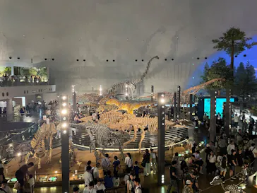福井県立恐竜博物館に投稿された画像（2026/8/11）