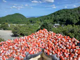 勝尾寺に投稿された画像（2026/8/12）