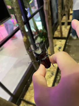 JOYPOLIS 特別イベントスペースに投稿された画像（2026/8/11）