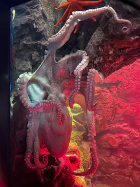 仙台うみの杜水族館に投稿された画像（2026/8/11）