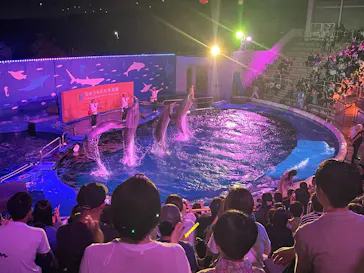仙台うみの杜水族館に投稿された画像（2026/8/11）