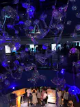 横浜・八景島シーパラダイスに投稿された画像（2026/8/12）
