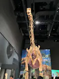 福井県立恐竜博物館に投稿された画像（2026/8/12）