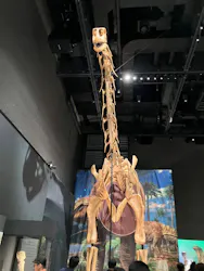 福井県立恐竜博物館に投稿された画像（2026/8/11）
