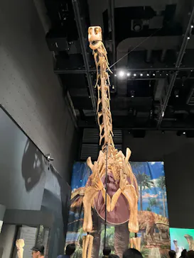福井県立恐竜博物館に投稿された画像（2026/8/11）