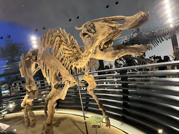 福井県立恐竜博物館に投稿された画像（2026/8/11）