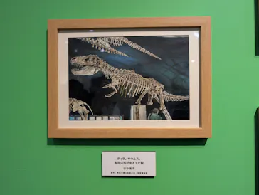 プレバト才能アリ展（大阪会場）に投稿された画像（2026/8/11）