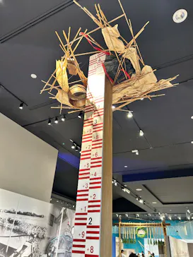 滋賀県立琵琶湖博物館に投稿された画像（2026/8/11）
