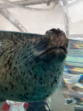 京都水族館に投稿された画像（2026/8/11）