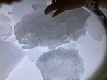 大南極展に投稿された画像（2026/8/12）
