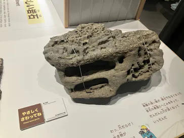大南極展に投稿された画像（2026/8/11）