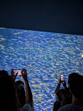 大分マリーンパレス水族館 「うみたまご」に投稿された画像（2026/8/11）