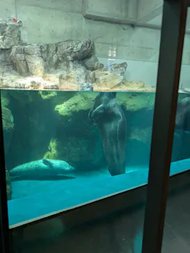 大分マリーンパレス水族館 「うみたまご」に投稿された画像（2026/8/11）