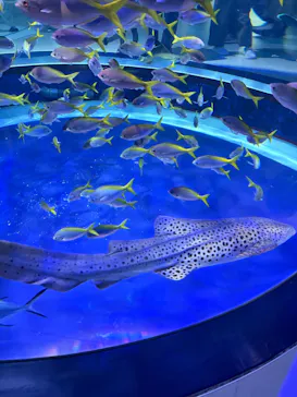 AQUARIUM × ART　atoaに投稿された画像（2026/8/12）