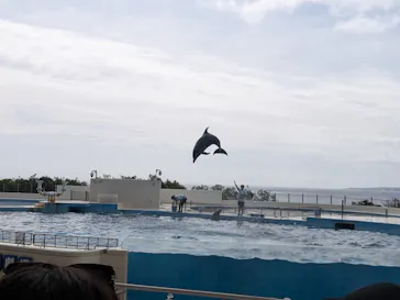 沖縄美ら海水族館に投稿された画像（2026/8/12）