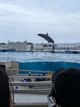 沖縄美ら海水族館に投稿された画像（2026/8/12）