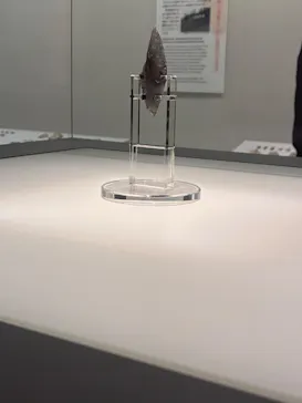 東京国立博物館に投稿された画像（2026/8/12）