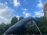 国立科学博物館に投稿された画像（2026/8/12）