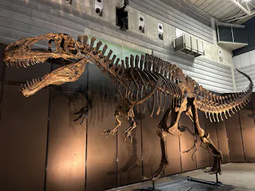 ヨコハマ恐竜展２０２６～恐竜の食卓大図鑑～に投稿された画像（2026/8/12）