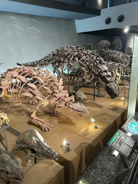 福井県立恐竜博物館に投稿された画像（2026/8/12）
