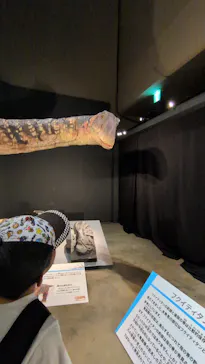 福井県立恐竜博物館に投稿された画像（2026/8/12）