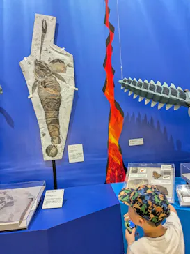 特別展　大絶滅展に投稿された画像（2026/8/12）