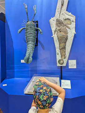 特別展　大絶滅展に投稿された画像（2026/8/12）