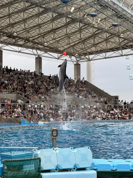 名古屋港水族館に投稿された画像（2026/8/12）