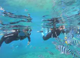 武藤潜水に投稿された画像（2026/8/12）