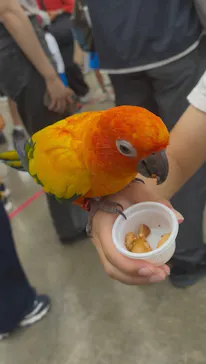 掛川花鳥園に投稿された画像（2026/8/12）