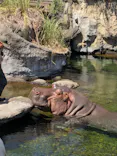 天王寺動物園に投稿された画像（2026/8/12）