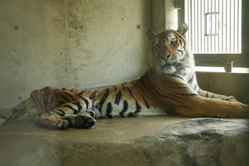 天王寺動物園に投稿された画像（2026/8/12）