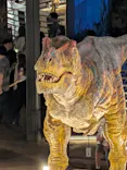 福井県立恐竜博物館に投稿された画像（2026/8/12）