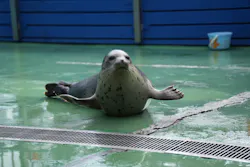 ゼロ距離水族館 伊勢シーパラダイスに投稿された画像（2026/8/12）