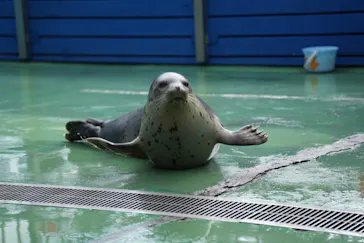 ゼロ距離水族館 伊勢シーパラダイスに投稿された画像（2026/8/12）