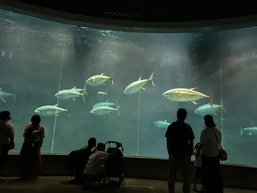 葛西臨海水族園に投稿された画像（2026/8/12）
