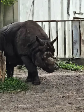 名古屋市東山動植物園に投稿された画像（2026/8/12）